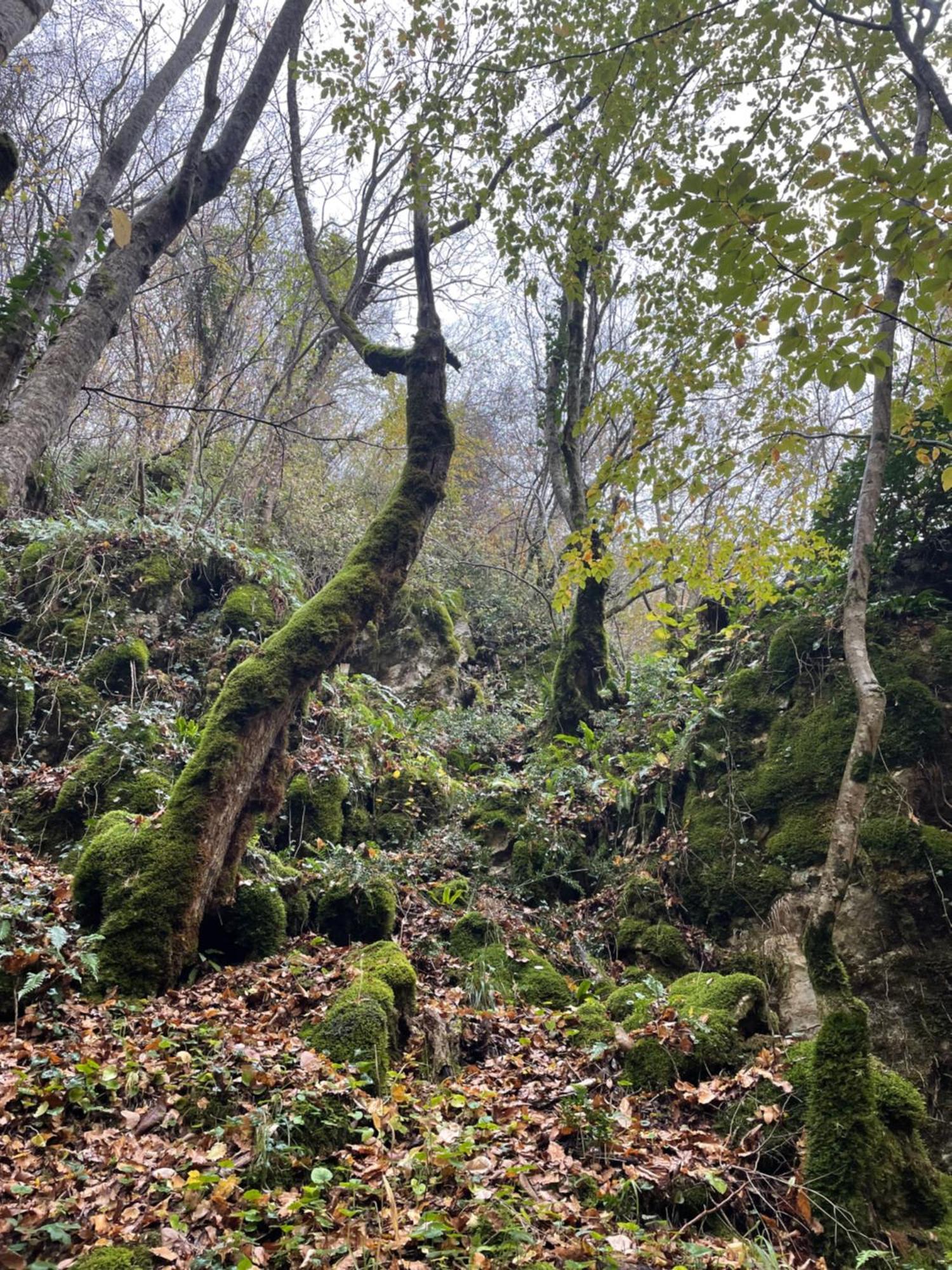 Mooie Bungalow In De Prachtige Natuur Hastiere-par-dela Dış mekan fotoğraf